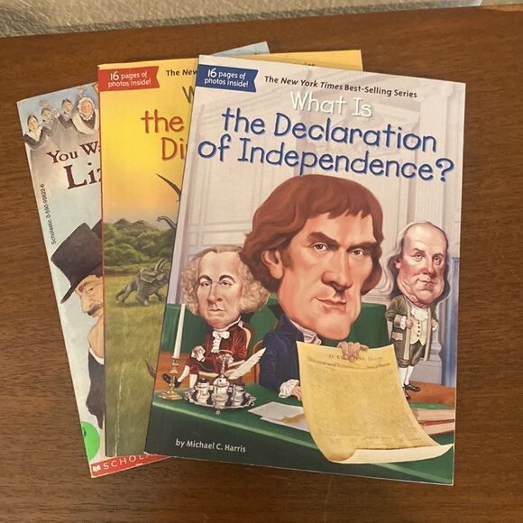 History Chapter books excellent condition 💕💕 - Picture 5 of 11